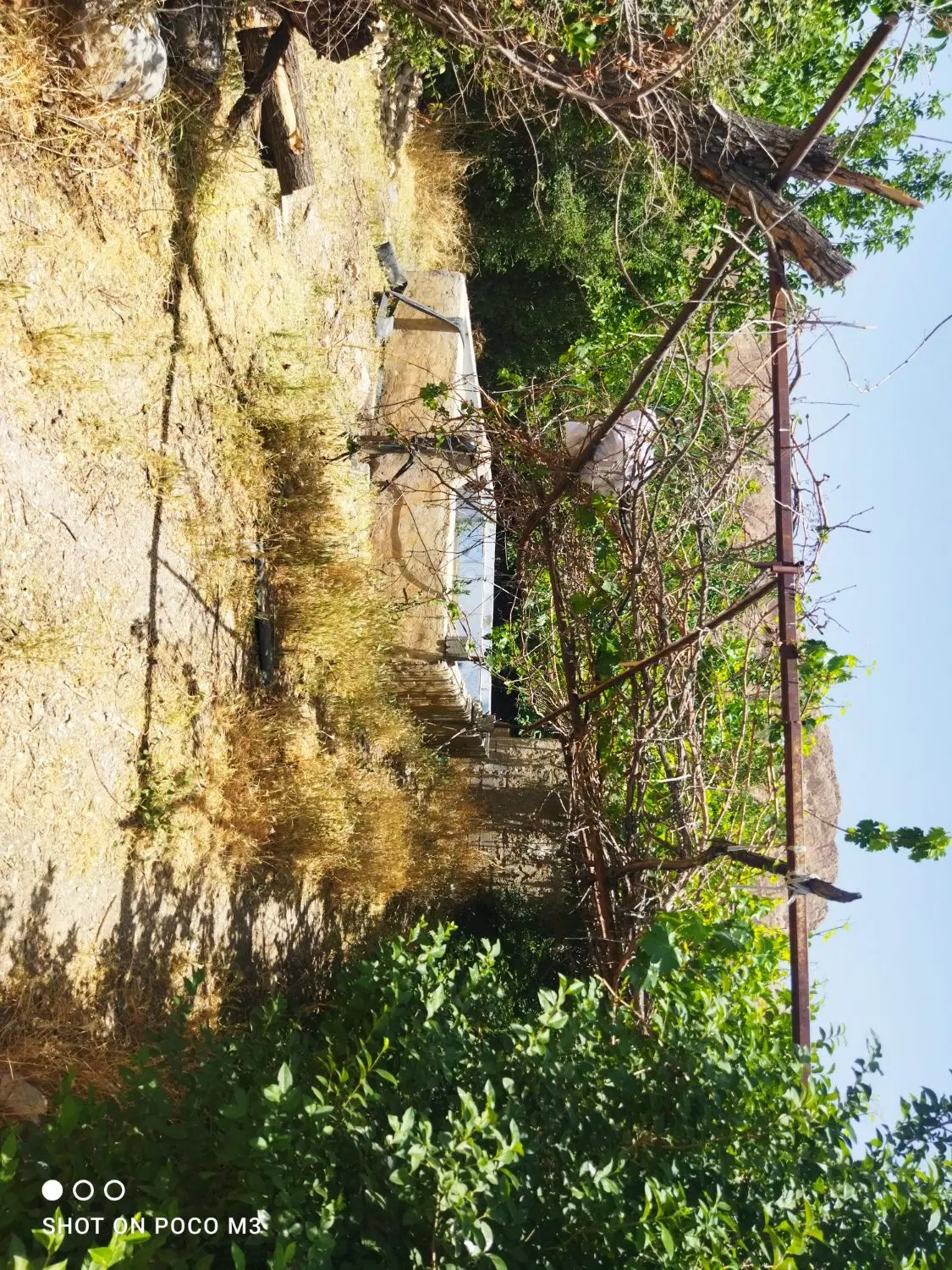 ۷_۵هکتارزمین کشاورزی شش دانگ