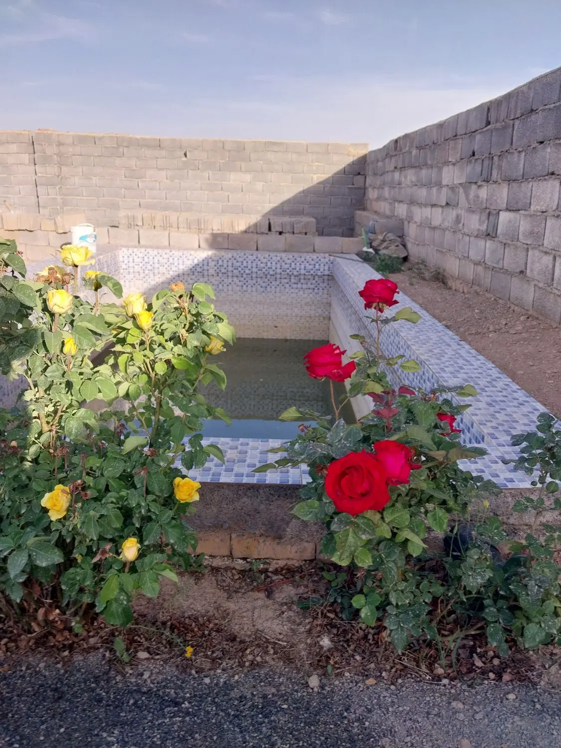 زمین،باغ ویلا