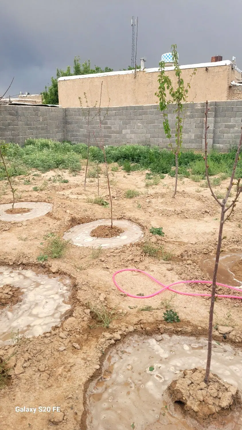 ملک مسکونی چهار دیواری زمین