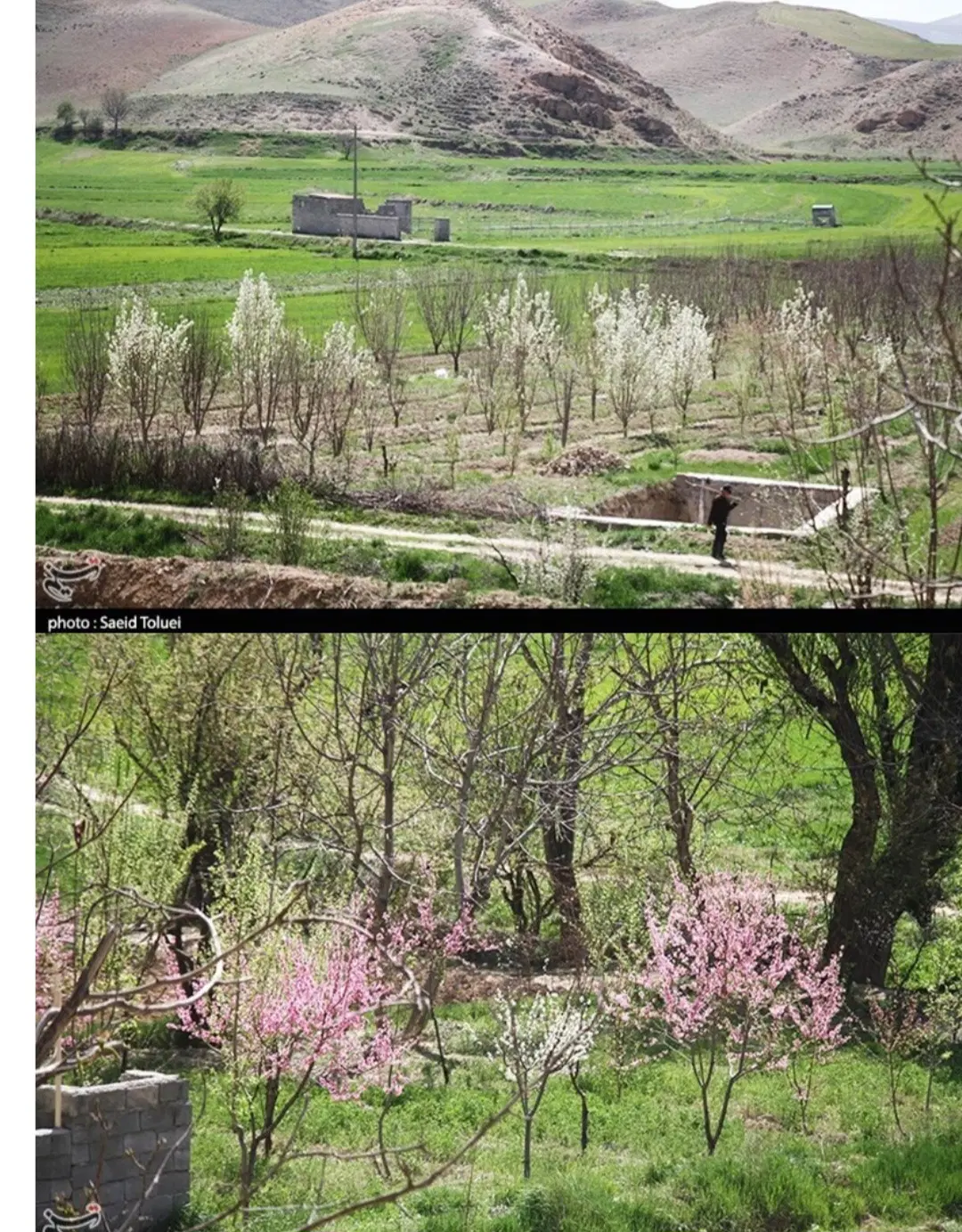 فروش،زمین چهار دیواری کنجینه
