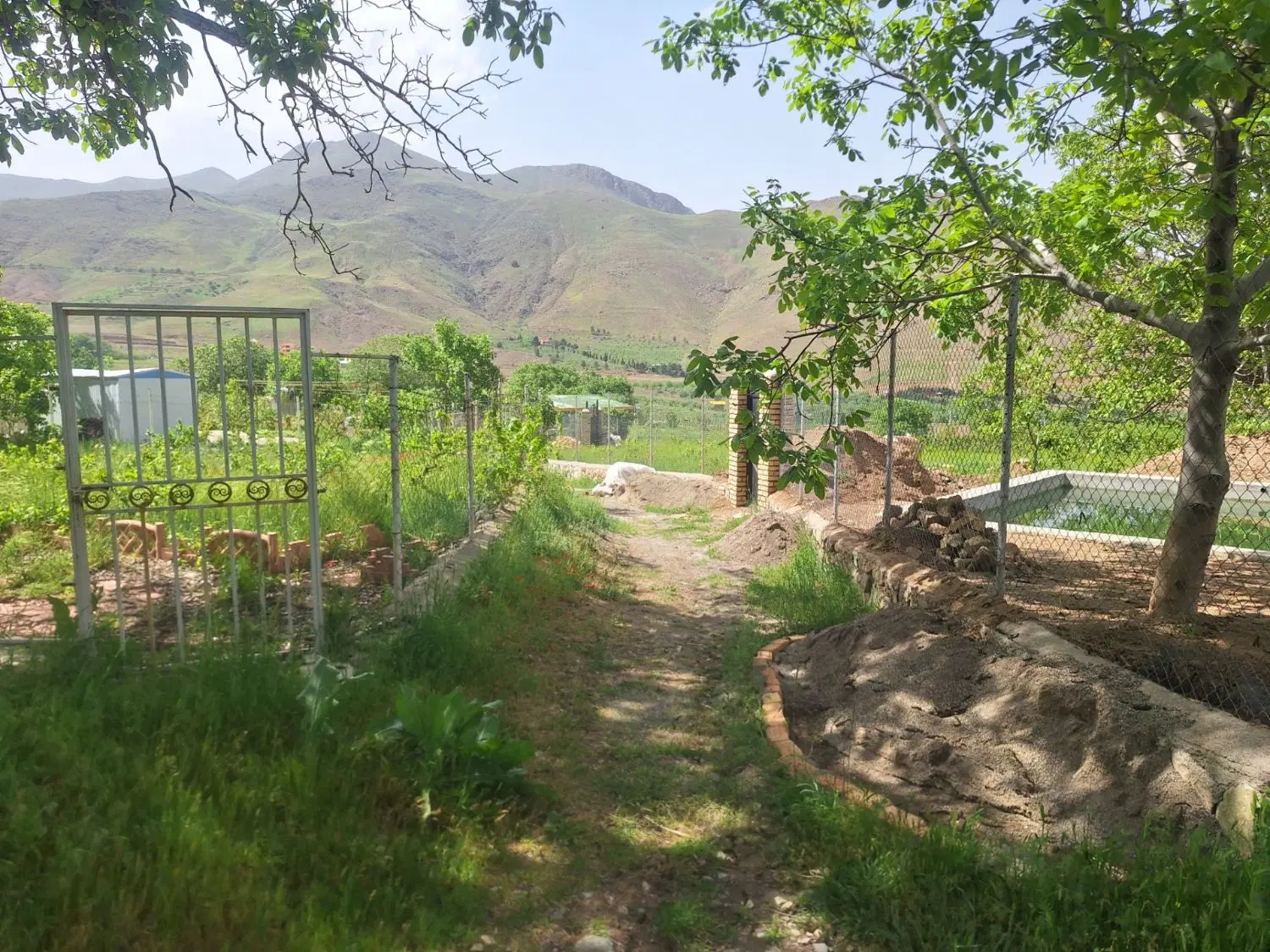 قطعه باغی  به متراژ 256متر