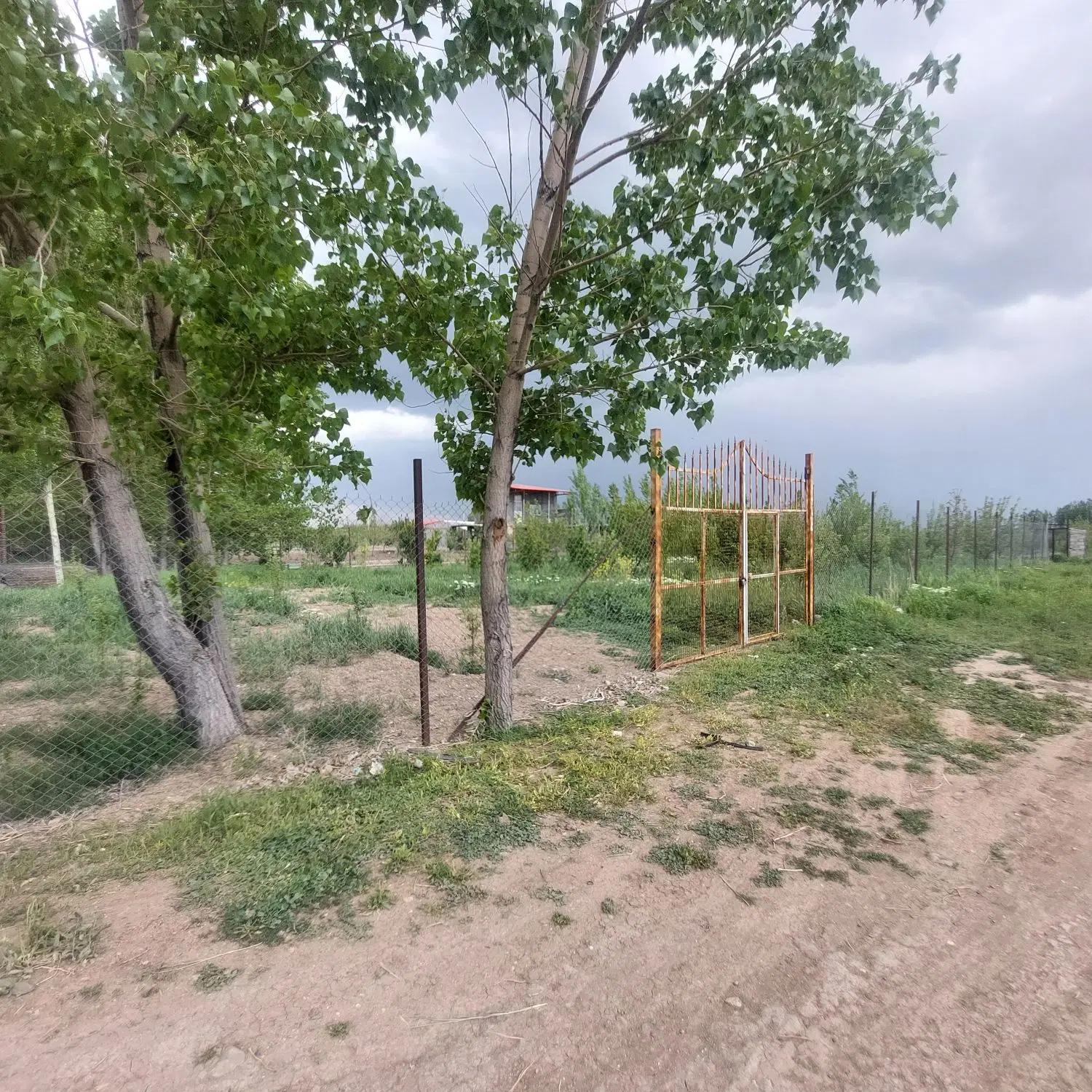 زمین باغی