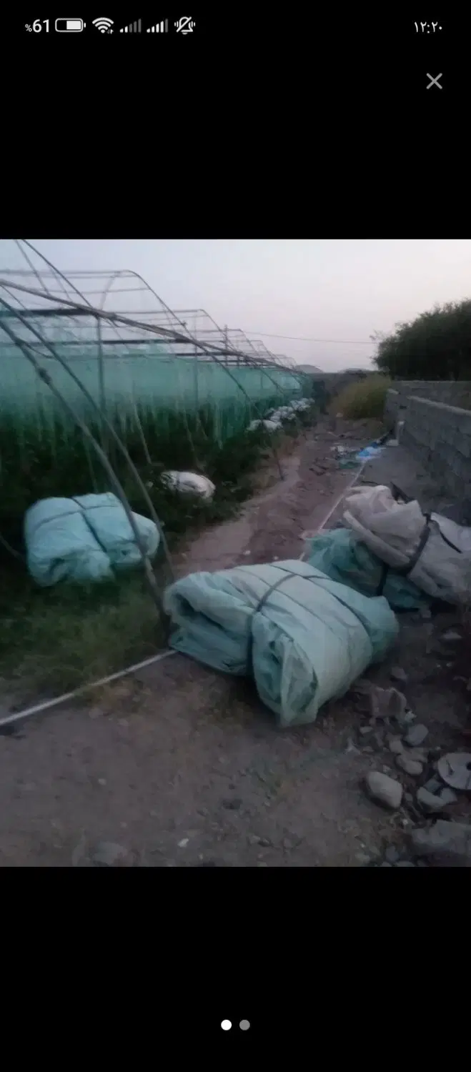 گلخانه