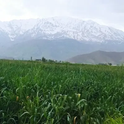 فروش زمین تجاری