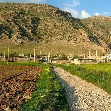 زمین