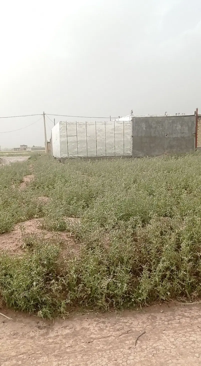 زمین سراب یاس