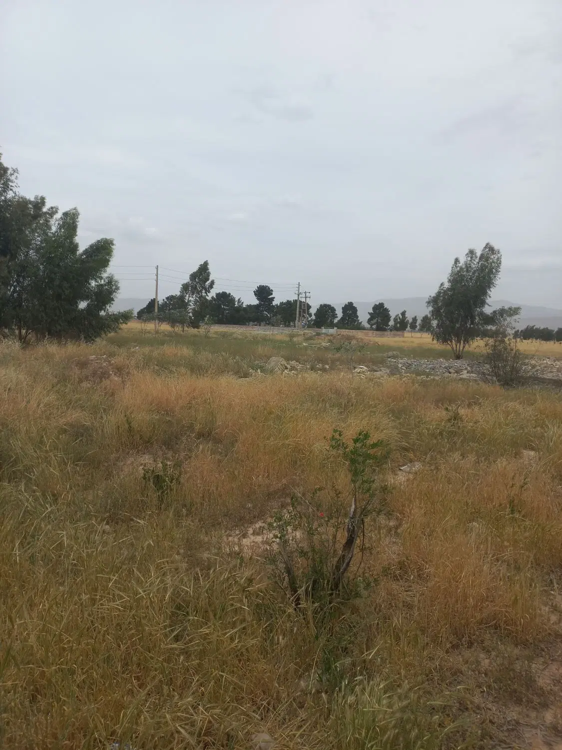 فروش زمین باغشهری  سلطان آباد