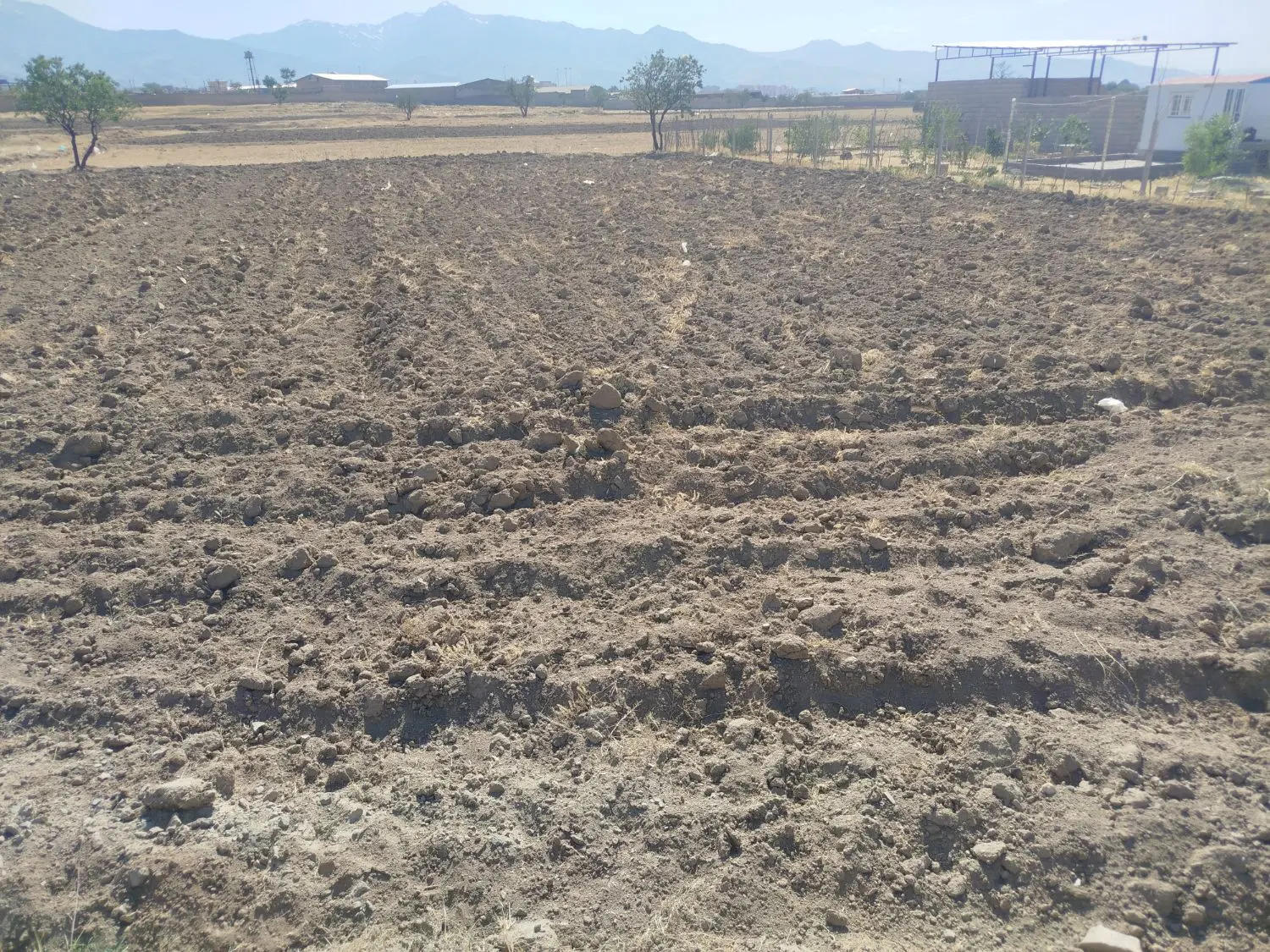 زمین باغی واقع در شورین