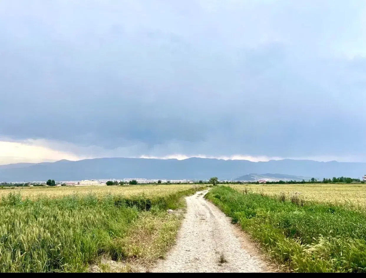 زمین زراعی فروشی