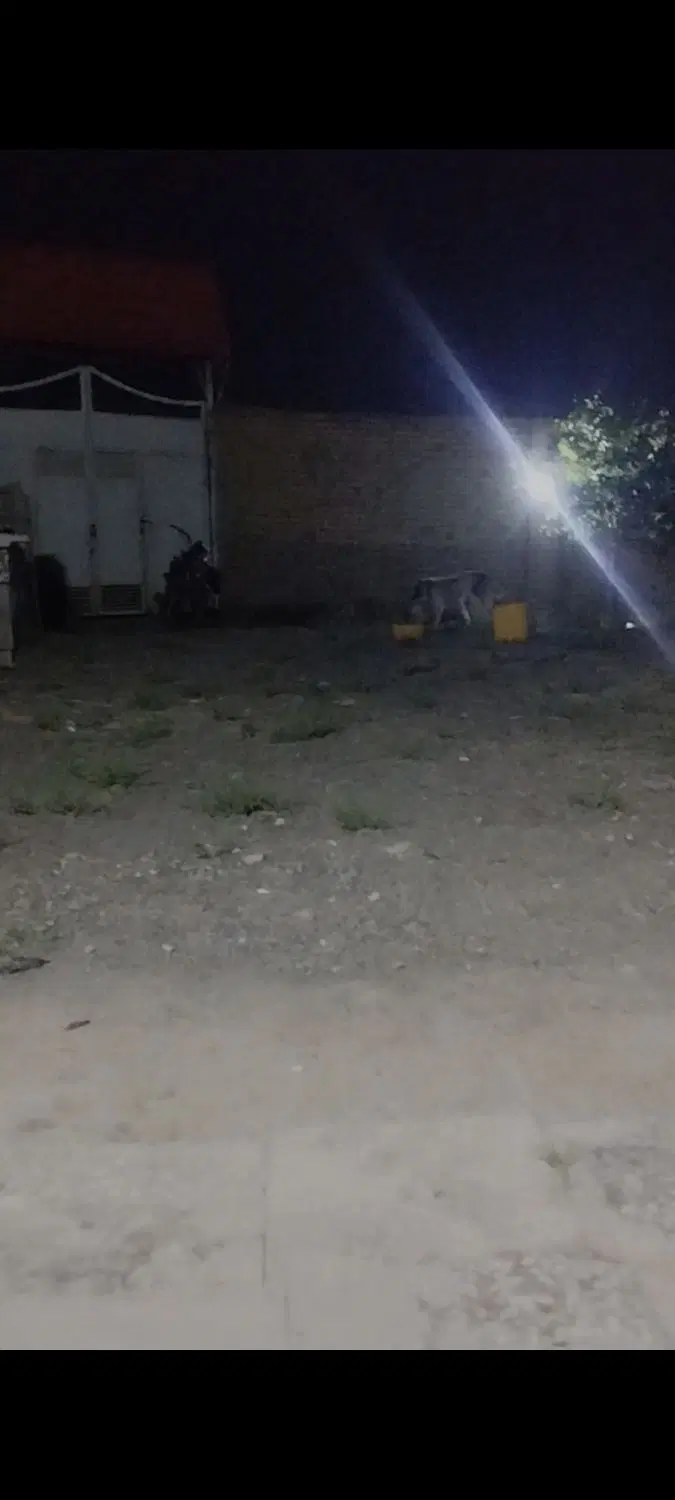 اجاره باغ یا انبار