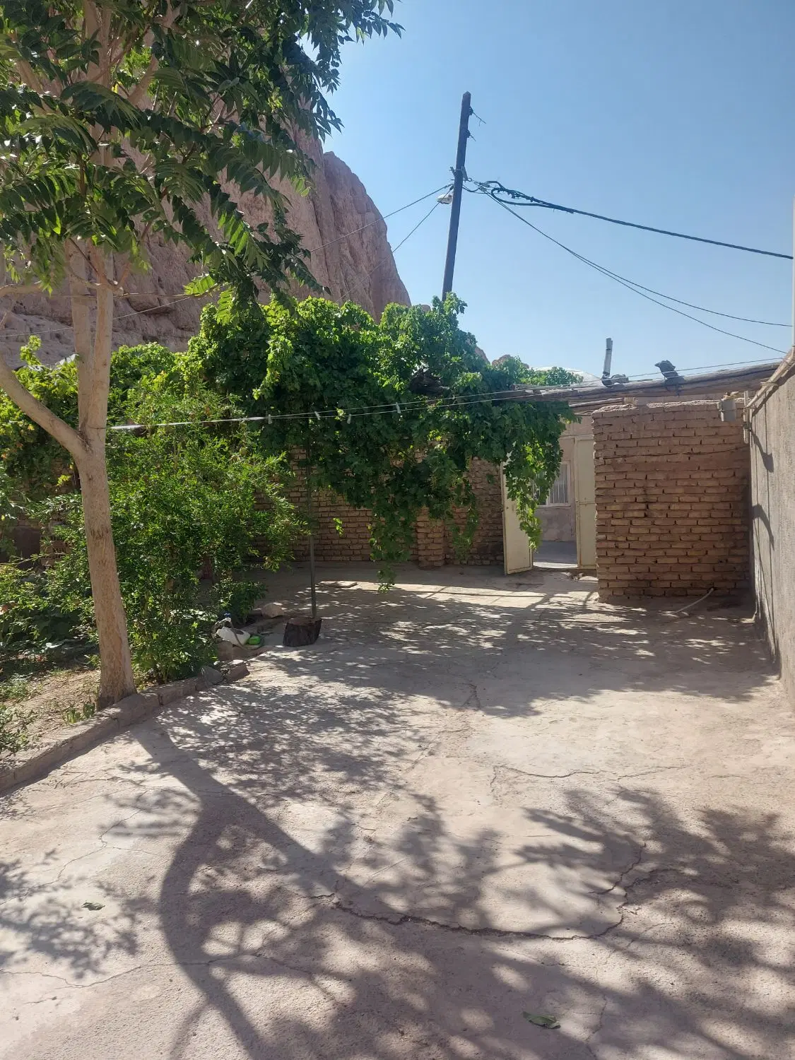 اجاره منزل حیاط دار