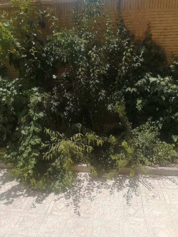 اجاره اپارتمان دو خوابه مهدی آباد