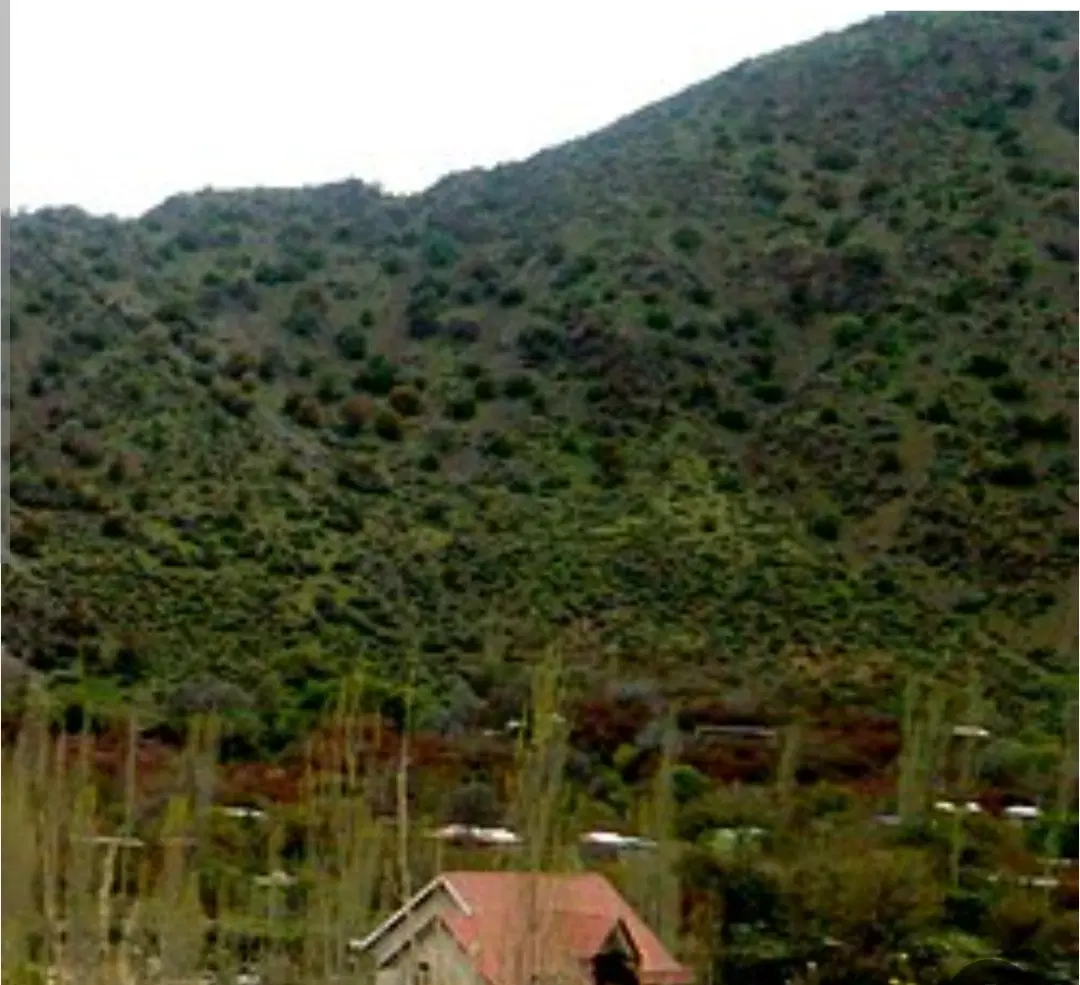 زمین دلفارد