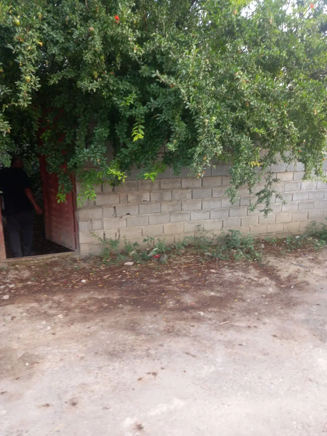 ۵۰۰ متر زمین مسکونی باپروانه ساخت