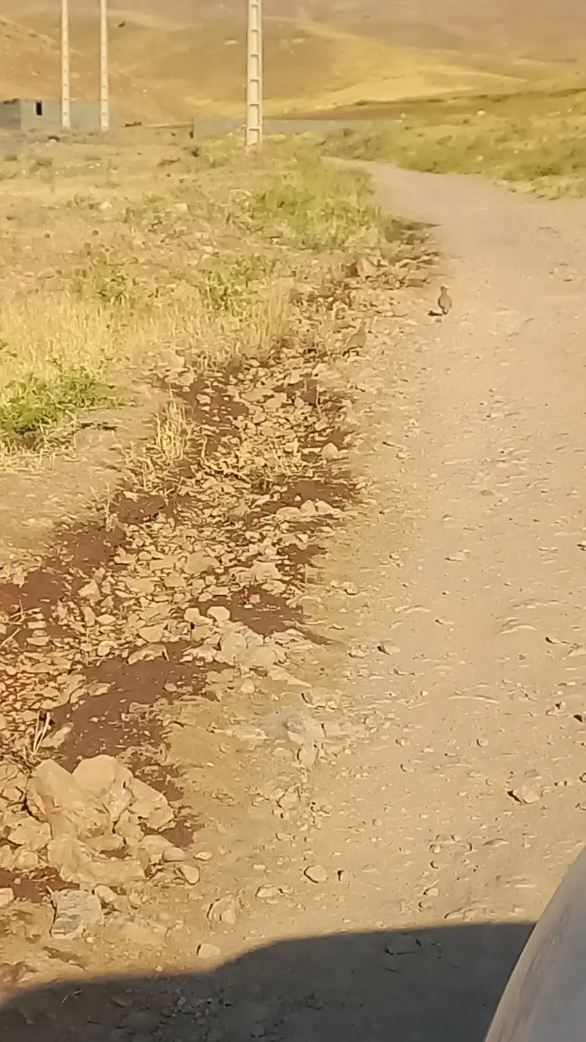 زمین بالابری کارگاهی ومجوز کوره اهک پزی قدیمی