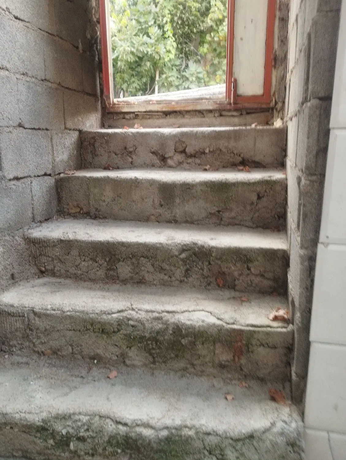 سوئیت سبک