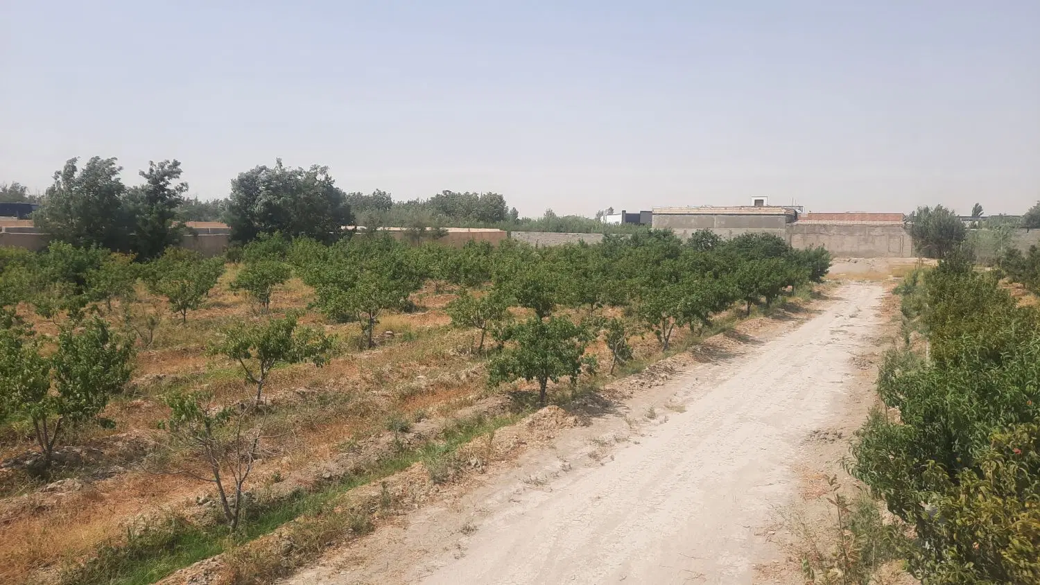 زمین فروشی