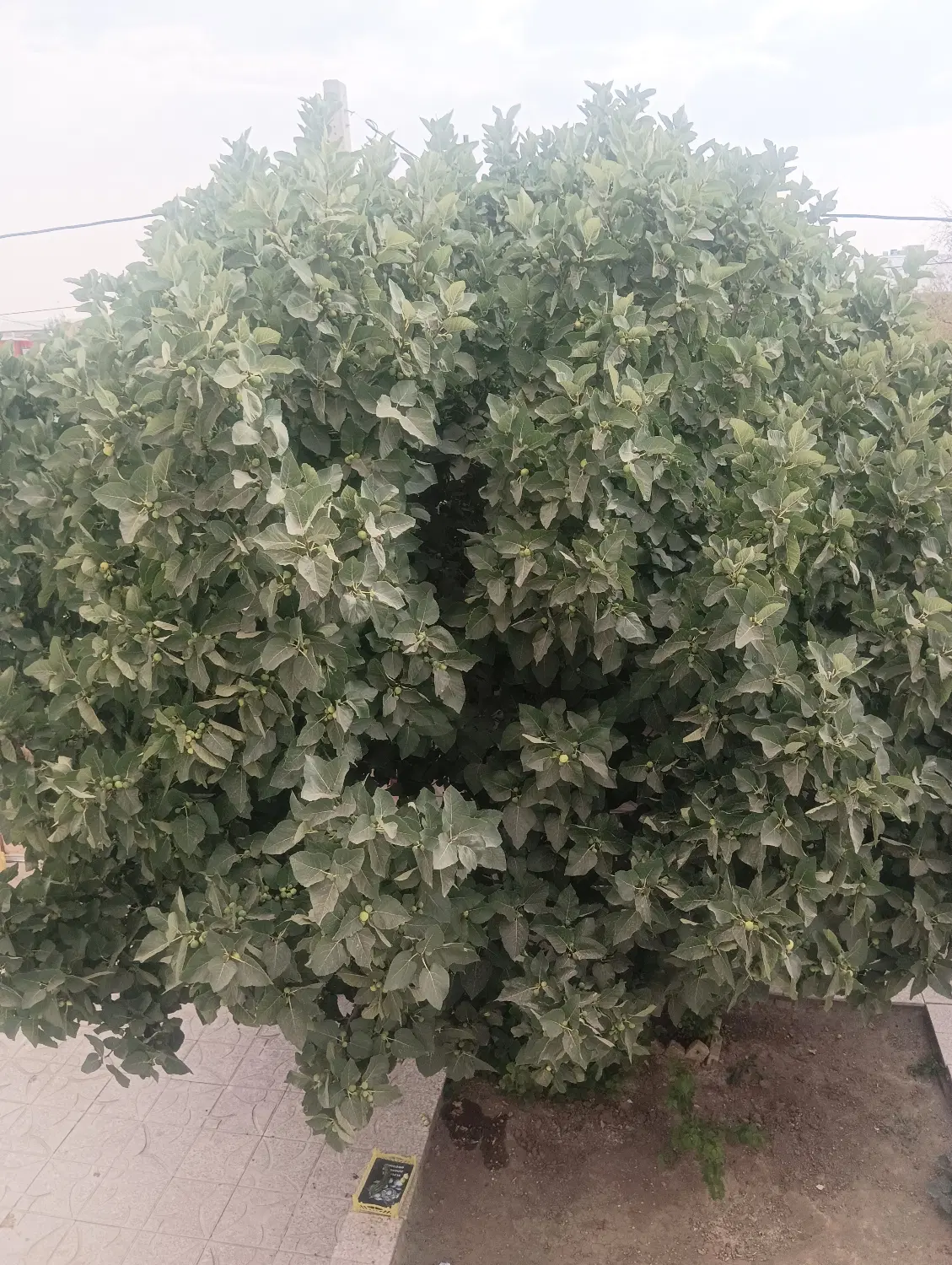 اجاره ی خانه ۷۵متری بغل دفتر اسناد رسمی فرمهین