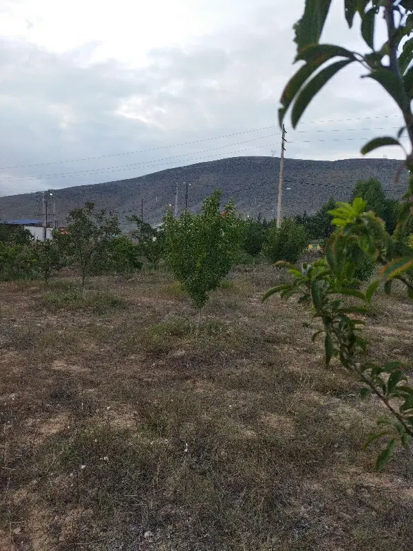 فروش زمین مسکونی ییلاقی نوشهر جاده کجور شهر پول