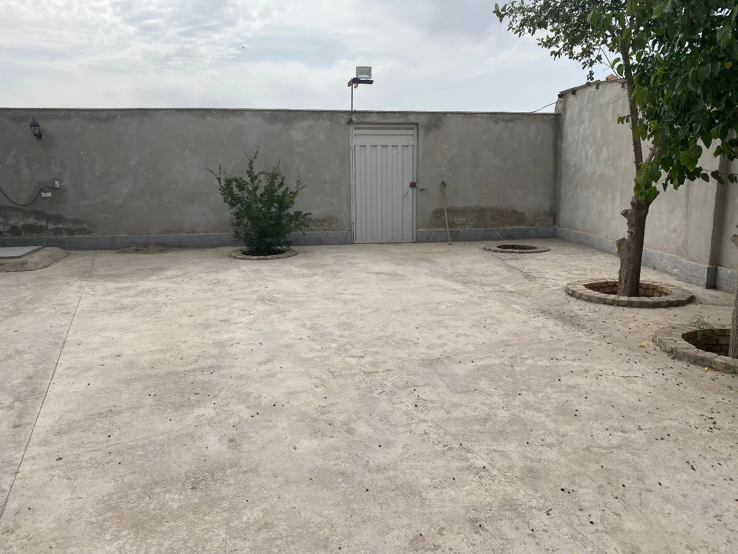 گاوداری و دامداری صنعتی