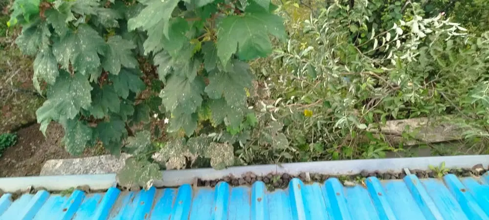 فروش،ملک مسکونی