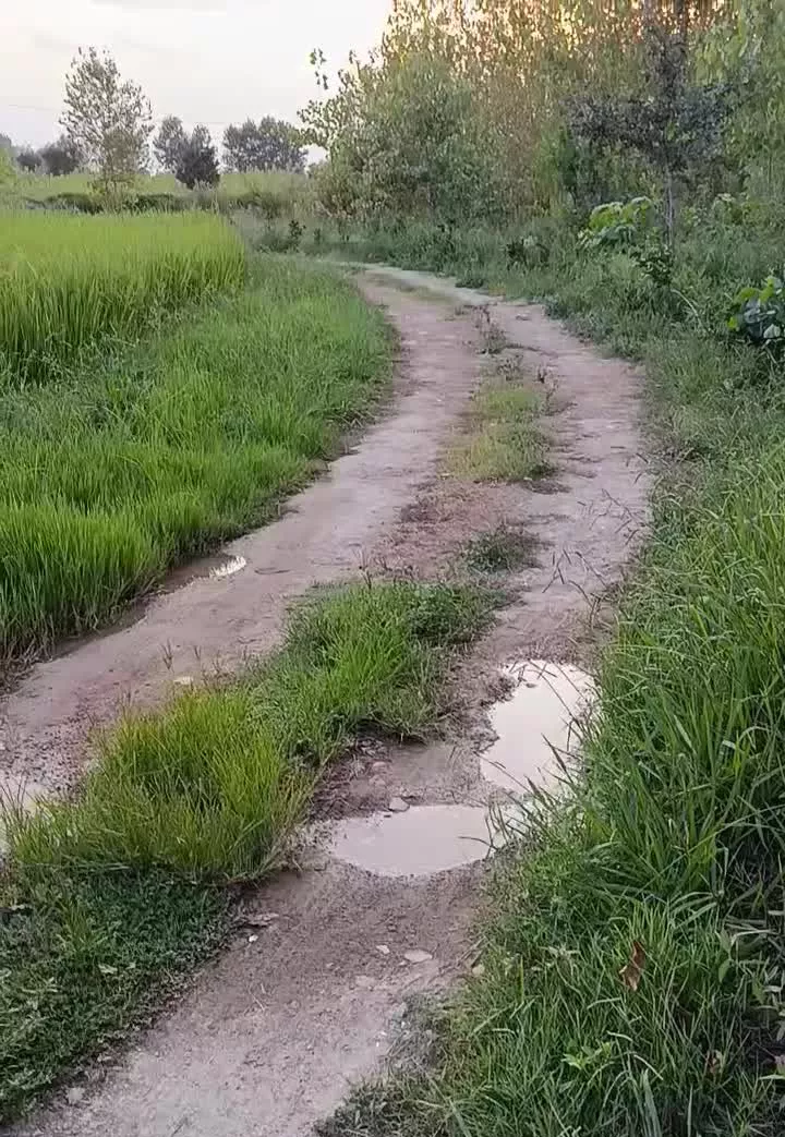 خانه ویلایی در پسیخان