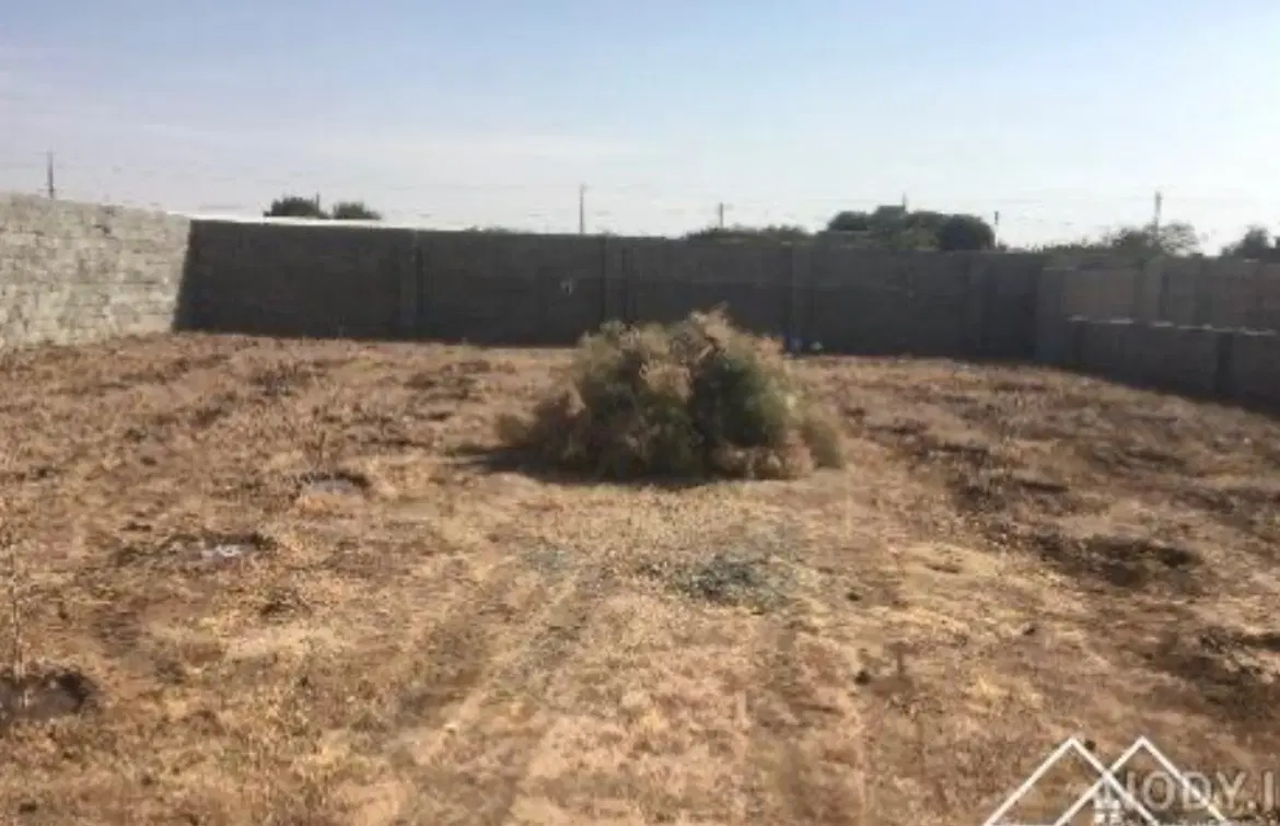 زمین فروشی عباس آباد رفسنجان