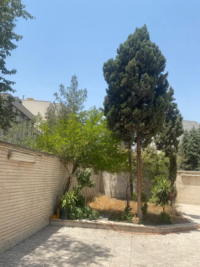 کلنگی