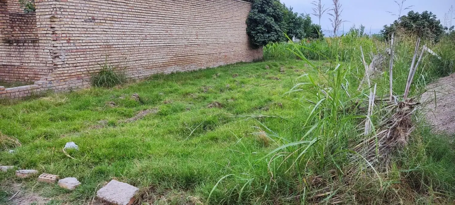 زمین مسکونی القجر