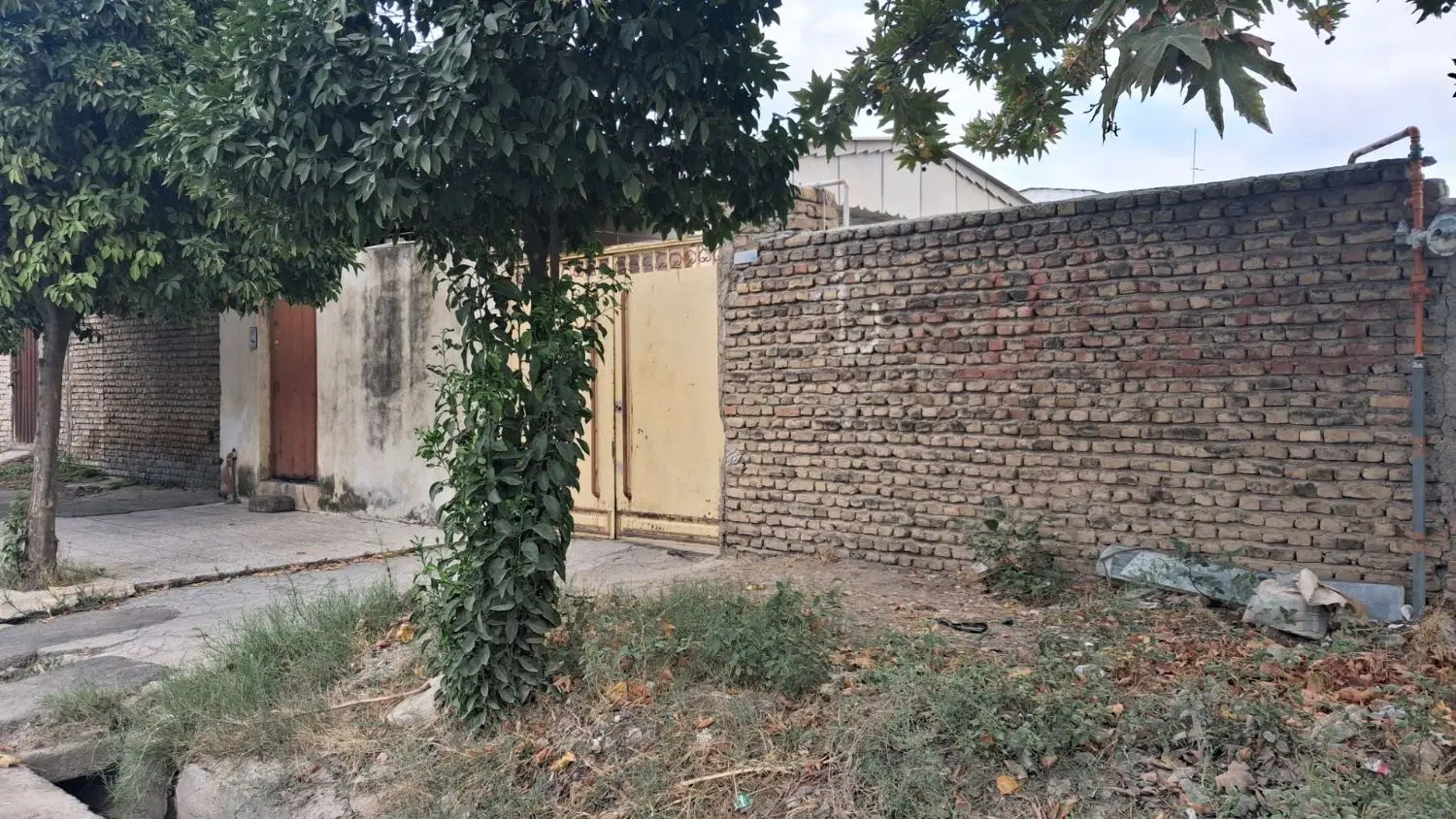 ملک فروشی خیابان ملت