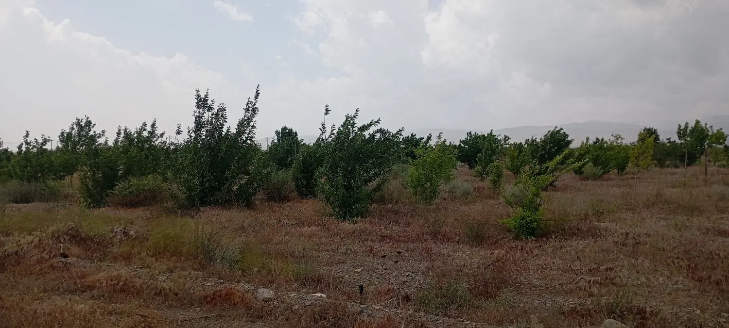 زمین فروشی متراژ ۸۰ متر کورده