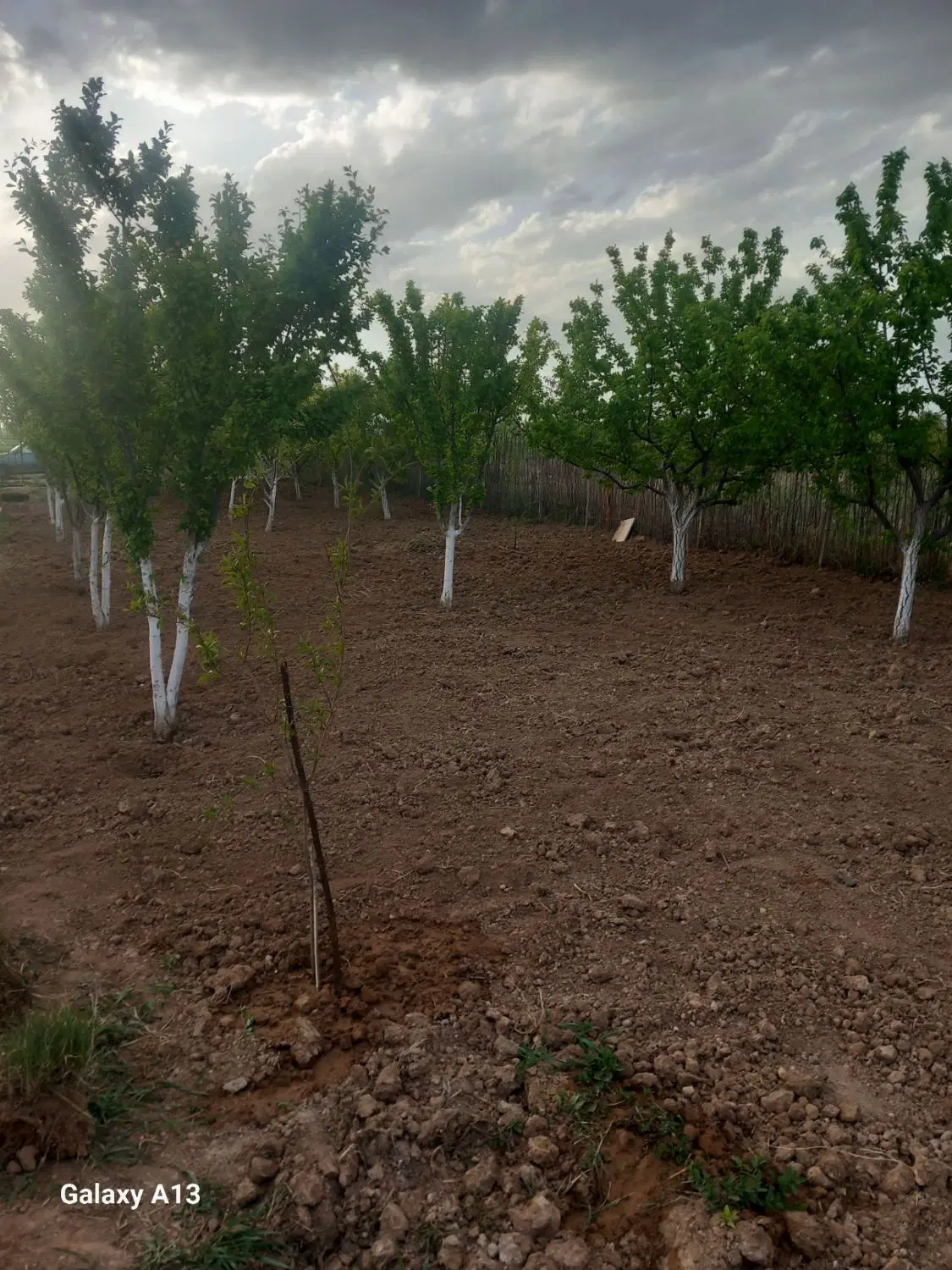 باغ ۵۰۰ متری