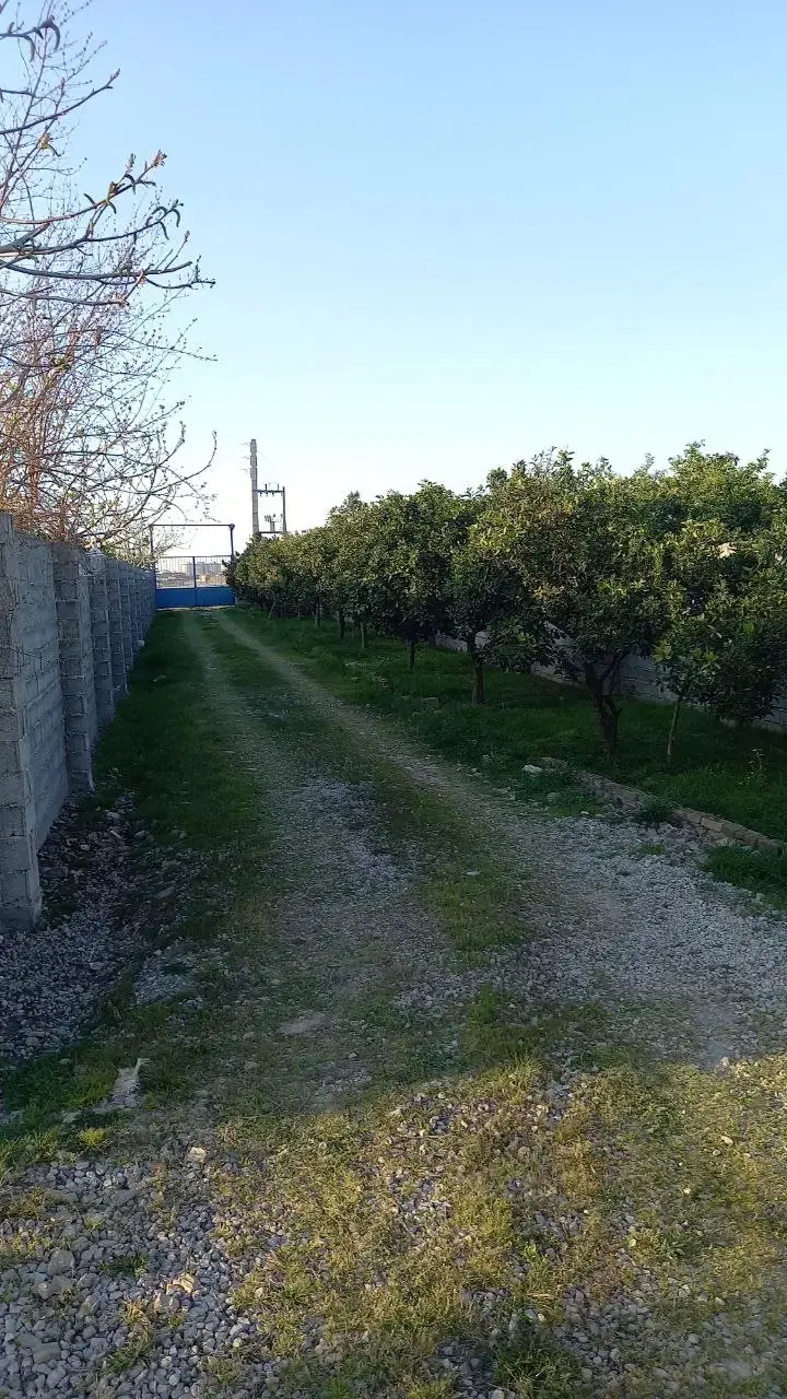 باغ و زمین