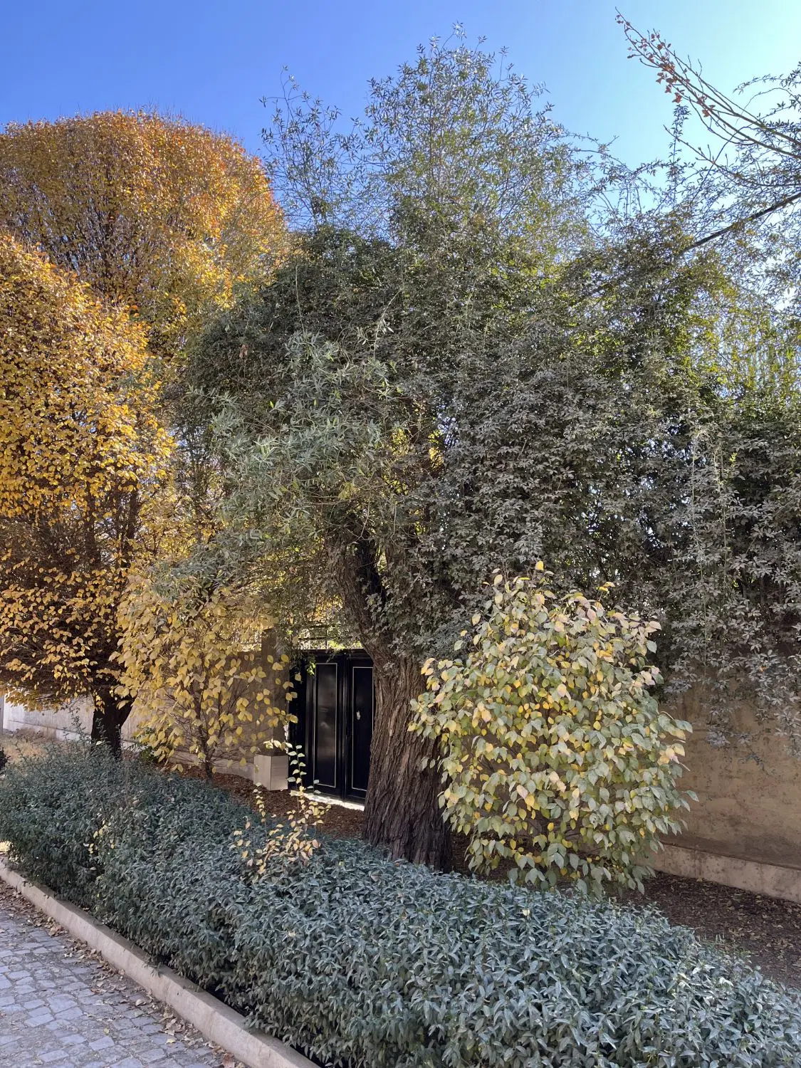 ویلا چهارباغ