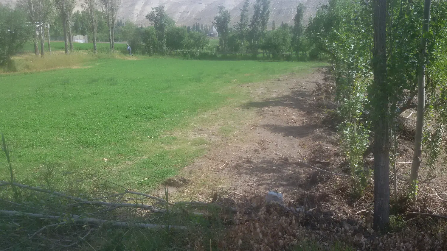 1500 زمین واقع در فیروزکوه- روستای طارس
