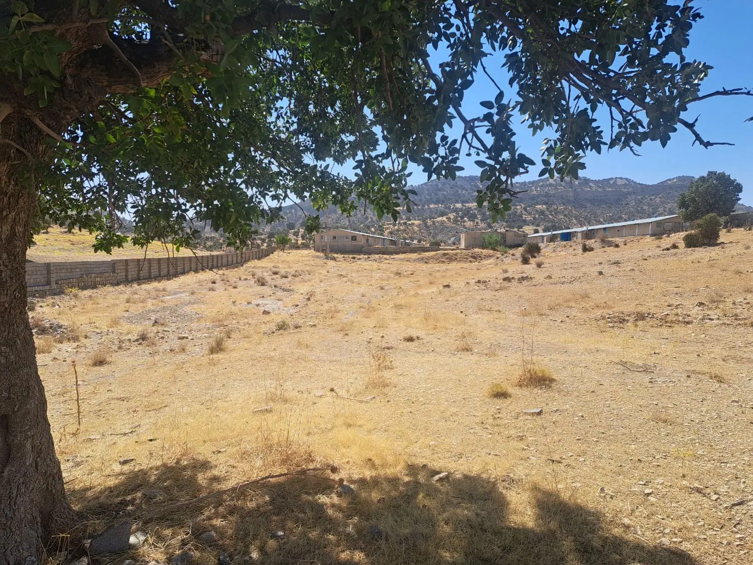اجاره مرغداری ۳۵ هزار قطعه ای فول امکانات