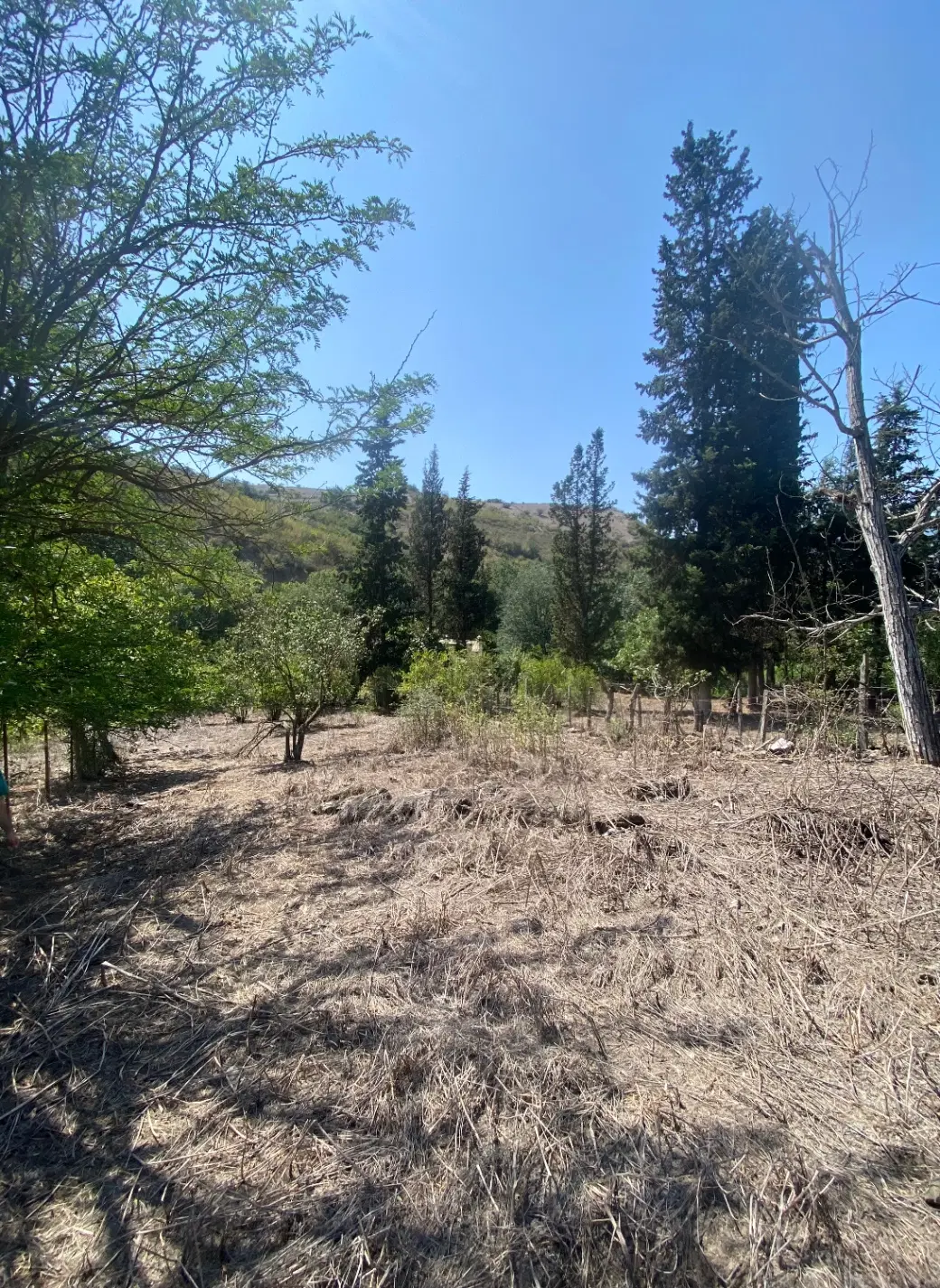 فروش زمین مسکونی ۸۰۰ متری در روستای خرشک