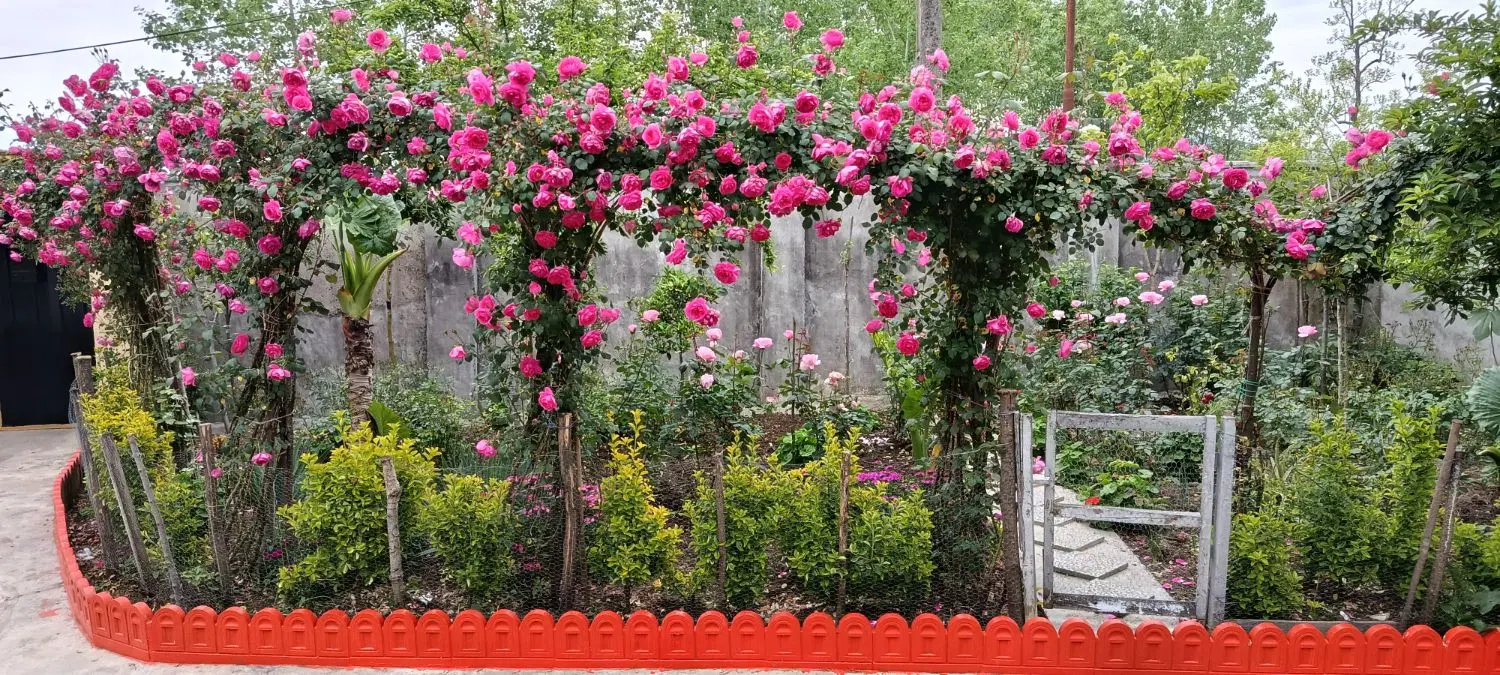 خانه ویلایی
