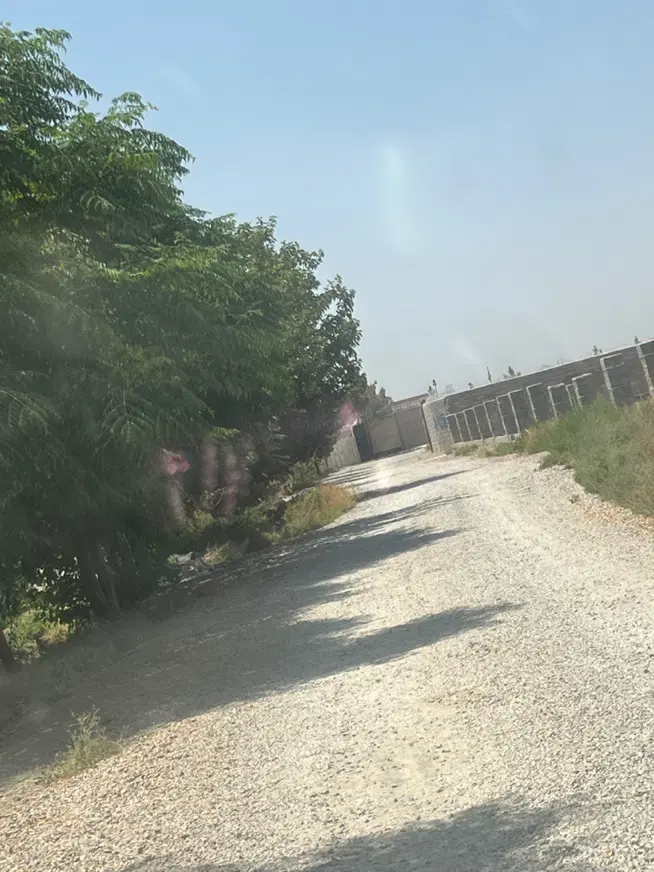 زمین باغی ۵۰۱