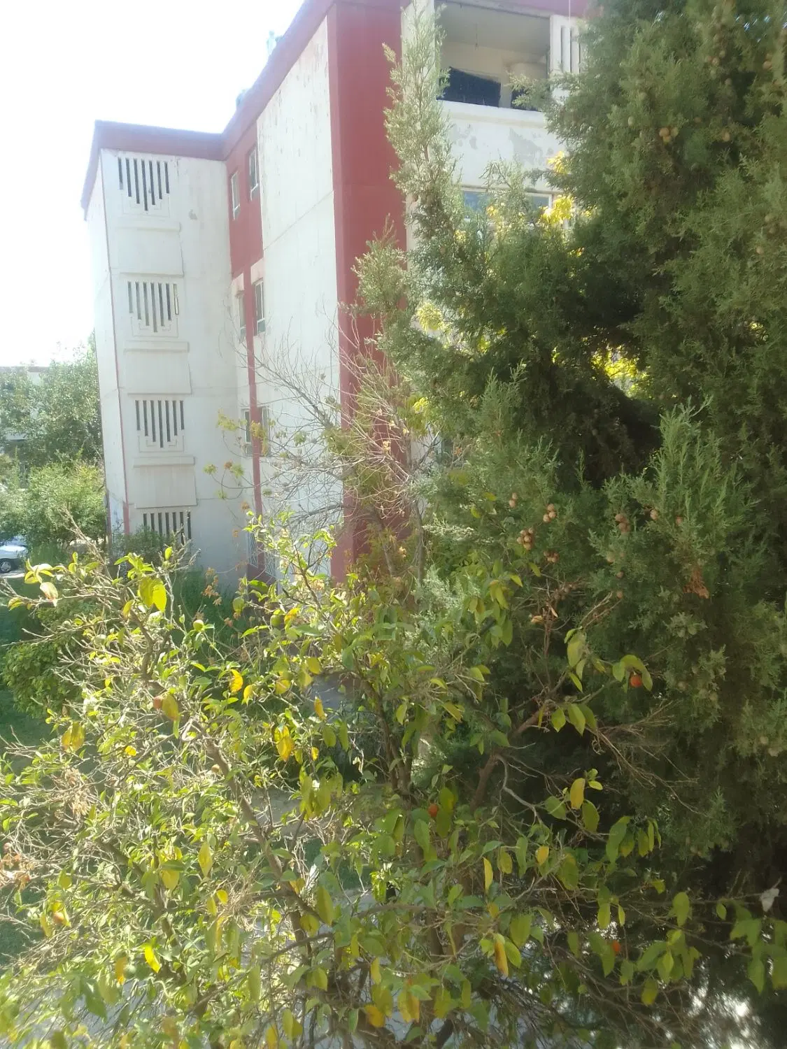 آپارتمان ۱خواب اسکان ۴