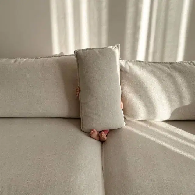 همخونه خانم