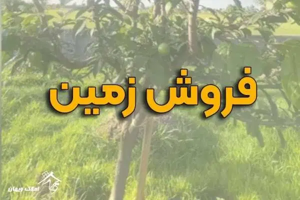 زمین فاز۴