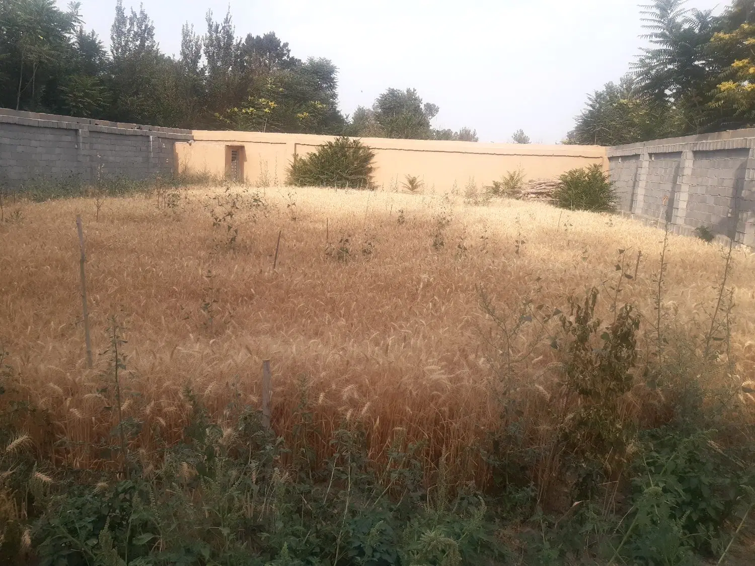 منزل ویلای دوطبقه خ بهشت پلاک دوم