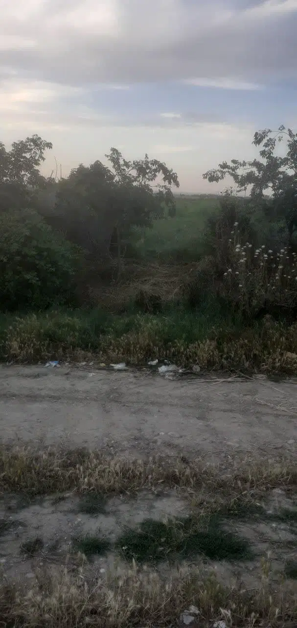 زمین باغی
