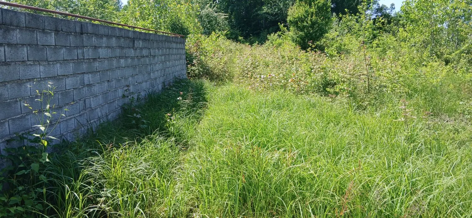 زمین به متراژ ۱۴۴۴ متر مربع لاهیجان روستای کوره بر