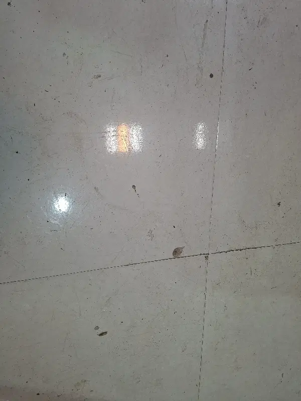 همخونه