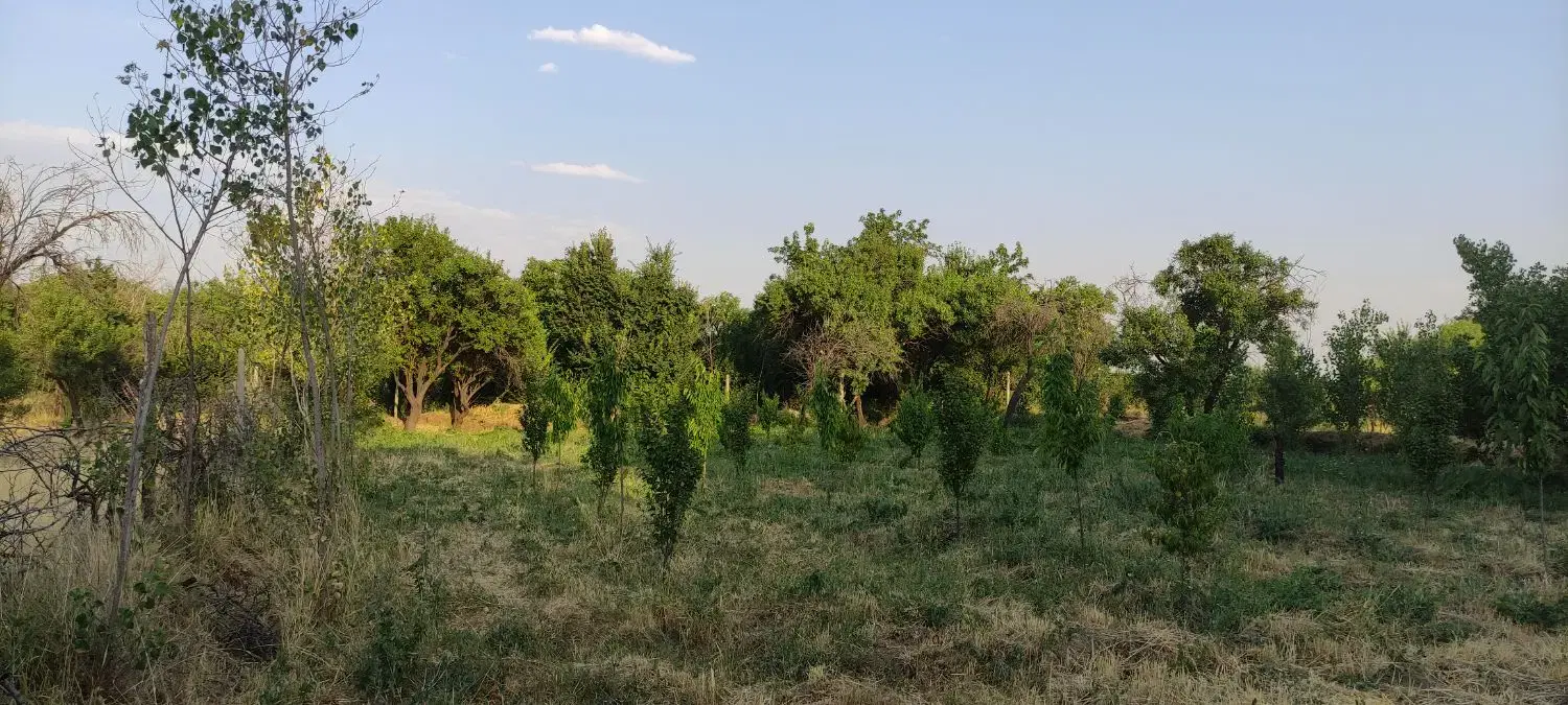 فروش باغ.یا معاوضه با ماشین .مغازه.خانه