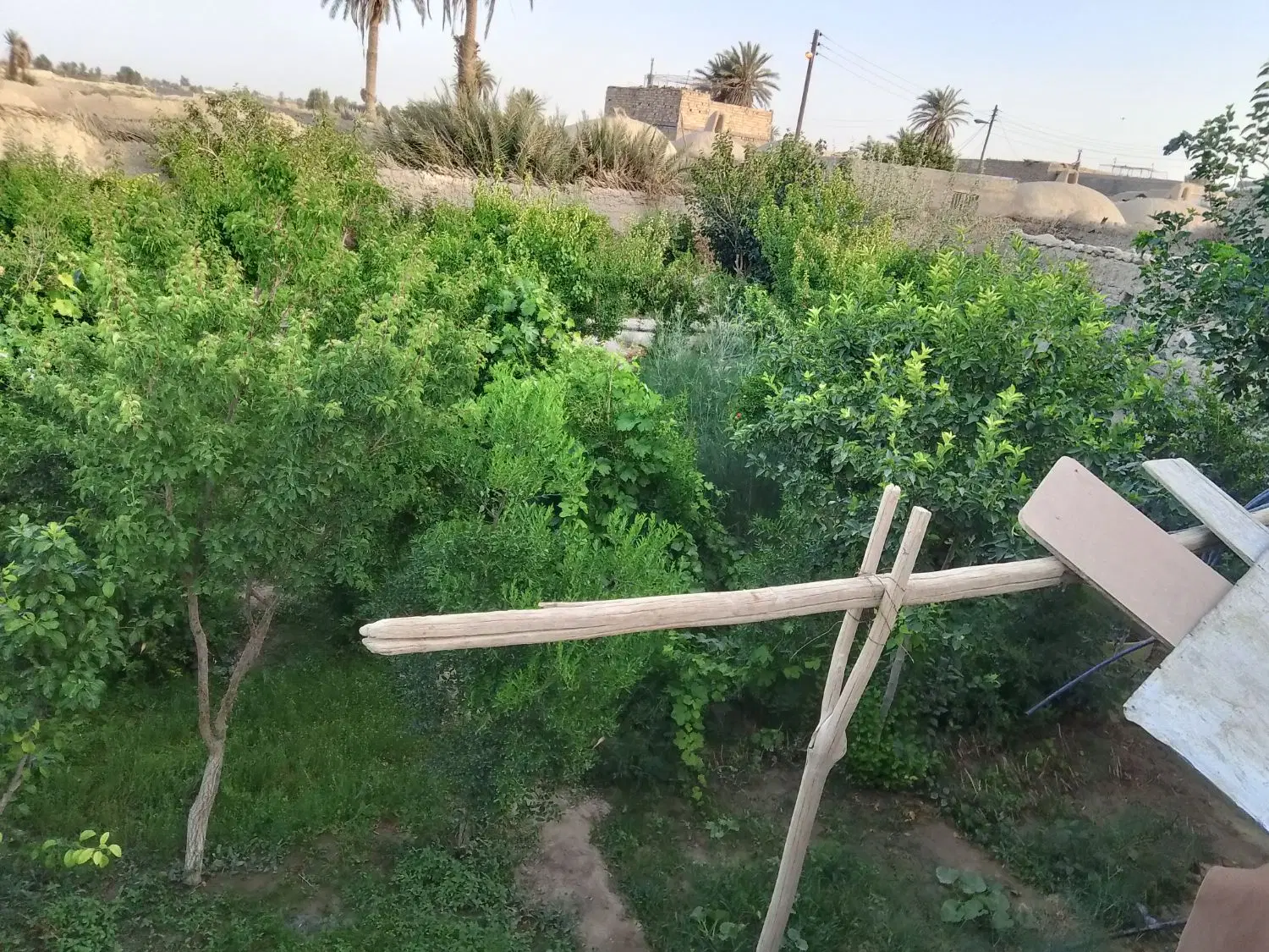 باغ فروشی