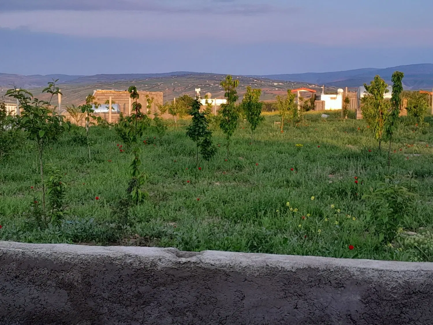 باغ بدرانلو جاده قدیم