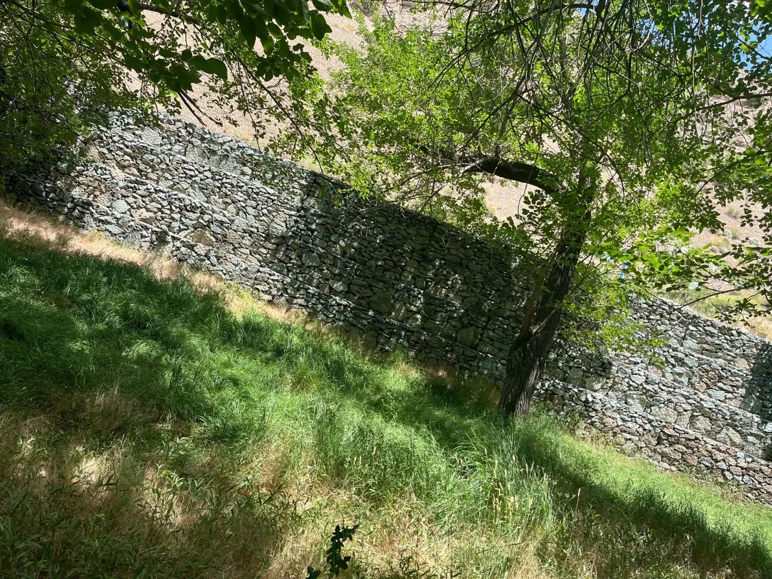 باغ و زمین در آسارا